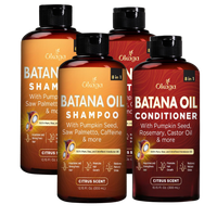 2 Pack (4 Bottles)
